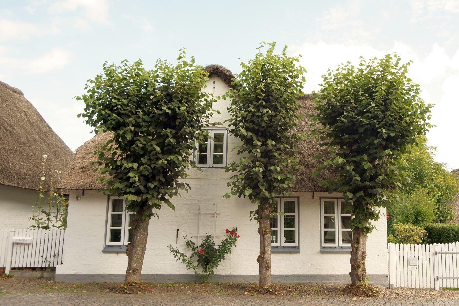 Villa Witje Hüs Boldixum Exterior foto